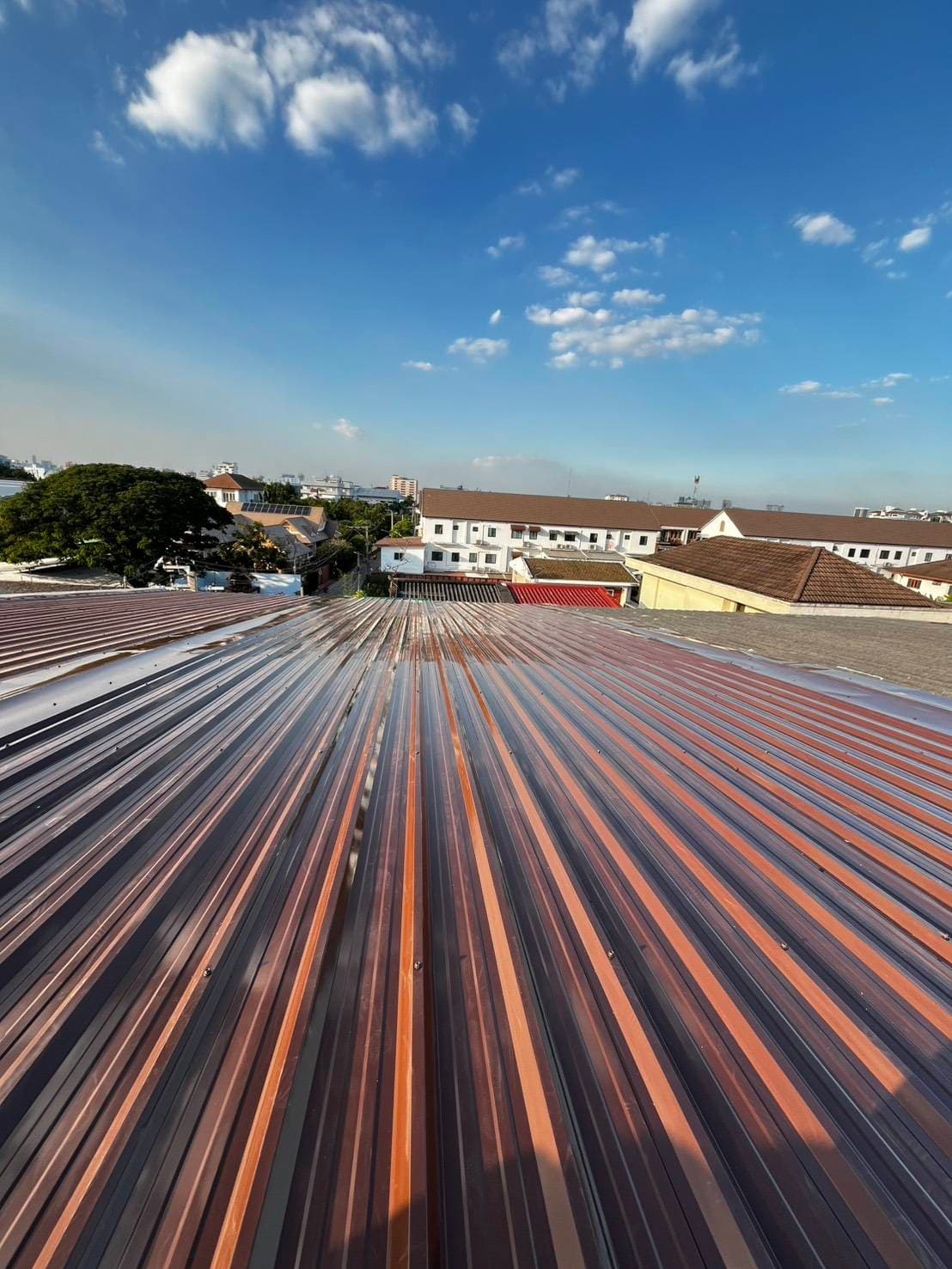 รูปภาพ 2